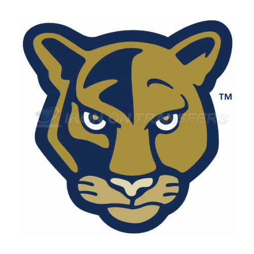 FIU Panthers Logo T-shirts Iron On Transfers N4364